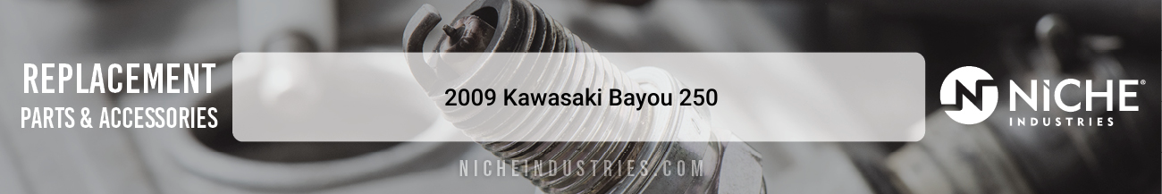 2009 Kawasaki Bayou 250