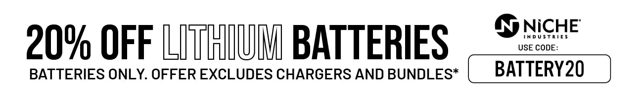 Lithium Battery Holiday Deal