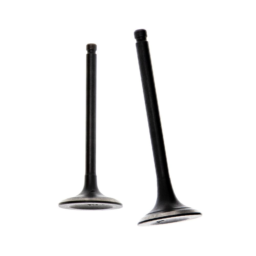 Cylinder Head Intake & Exhaust Valve Kit for Yamaha Wolverine Warrior Raptor Kodiak NICHE MK1001186