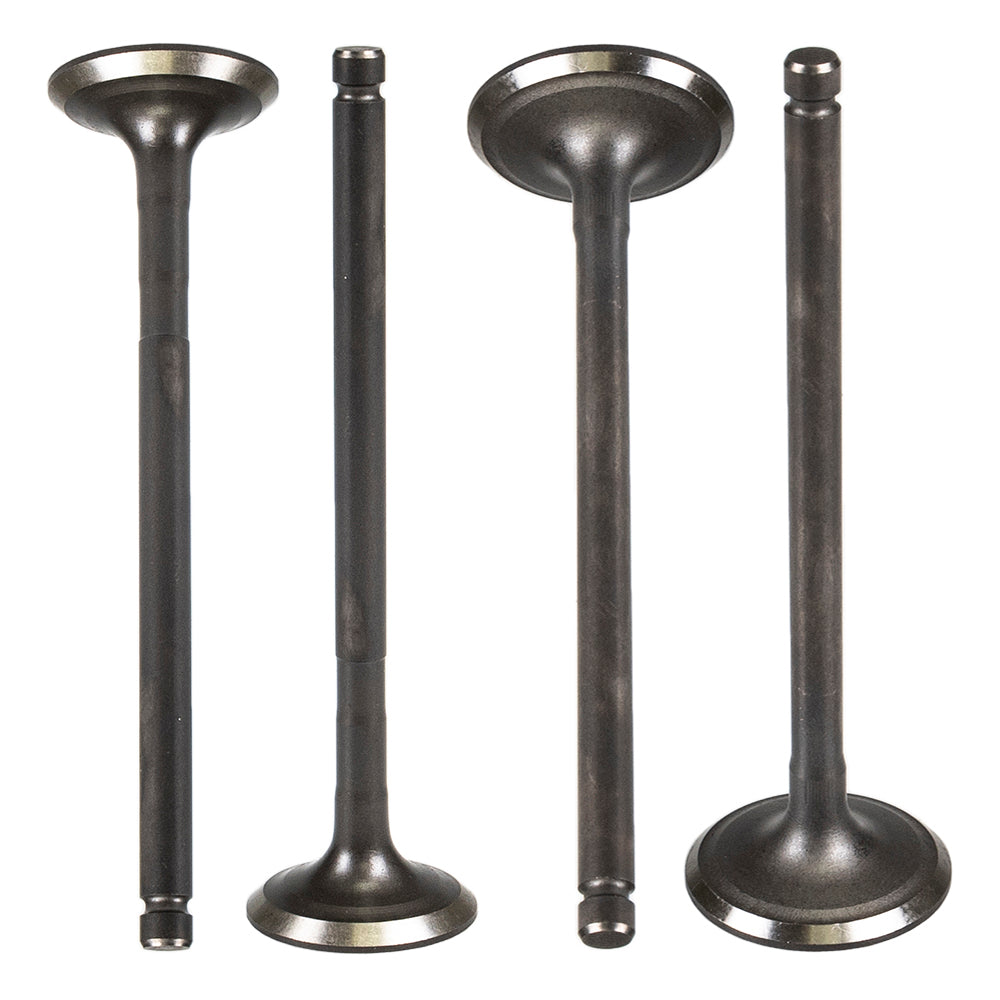 Cylinder Head Intake & Exhaust Valve Kit for Polaris Xplorer Xpedition Worker Sportsman NICHE MK1001187