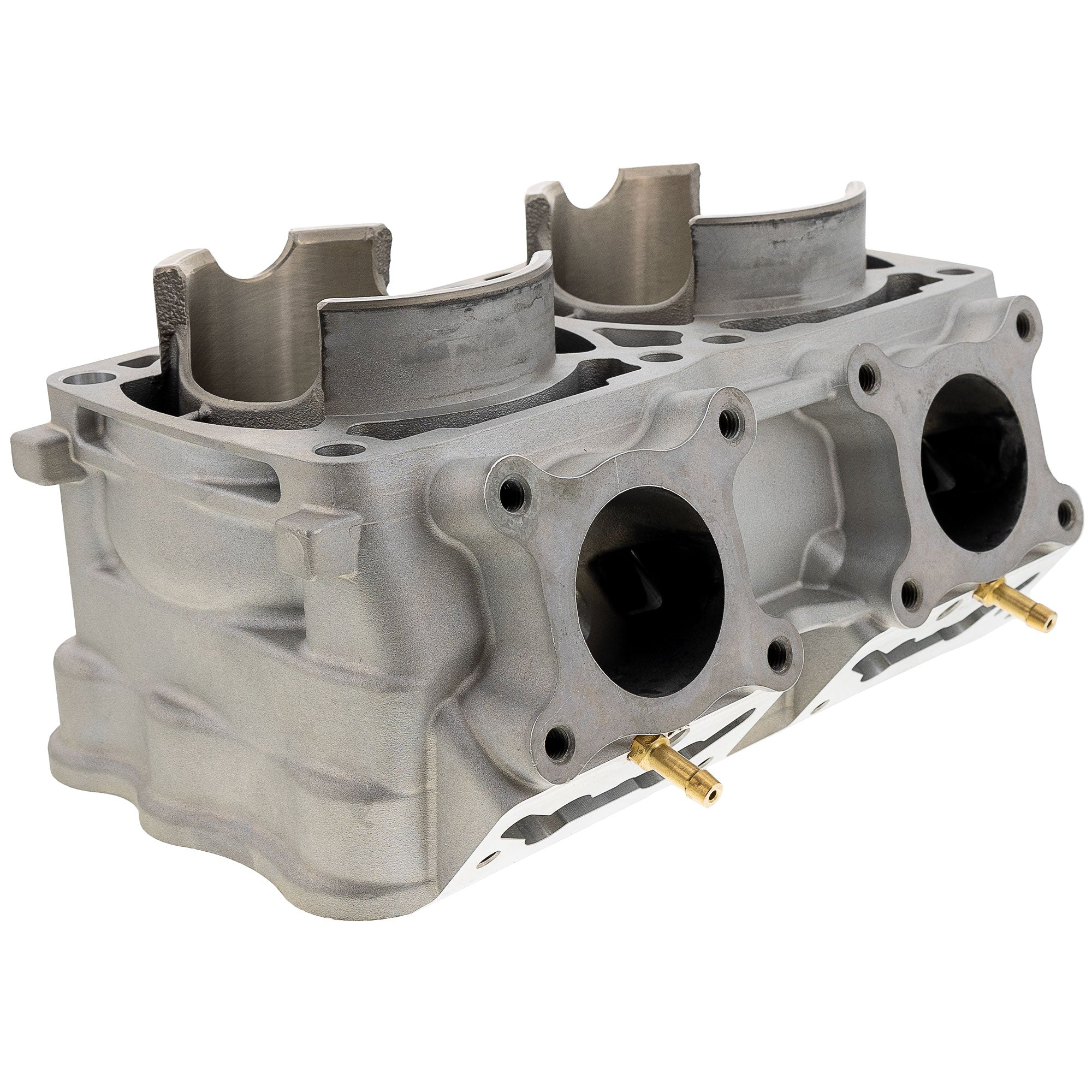 NICHE MK1011858 Cylinder and Gasket Kit for Titan Switchback SKS