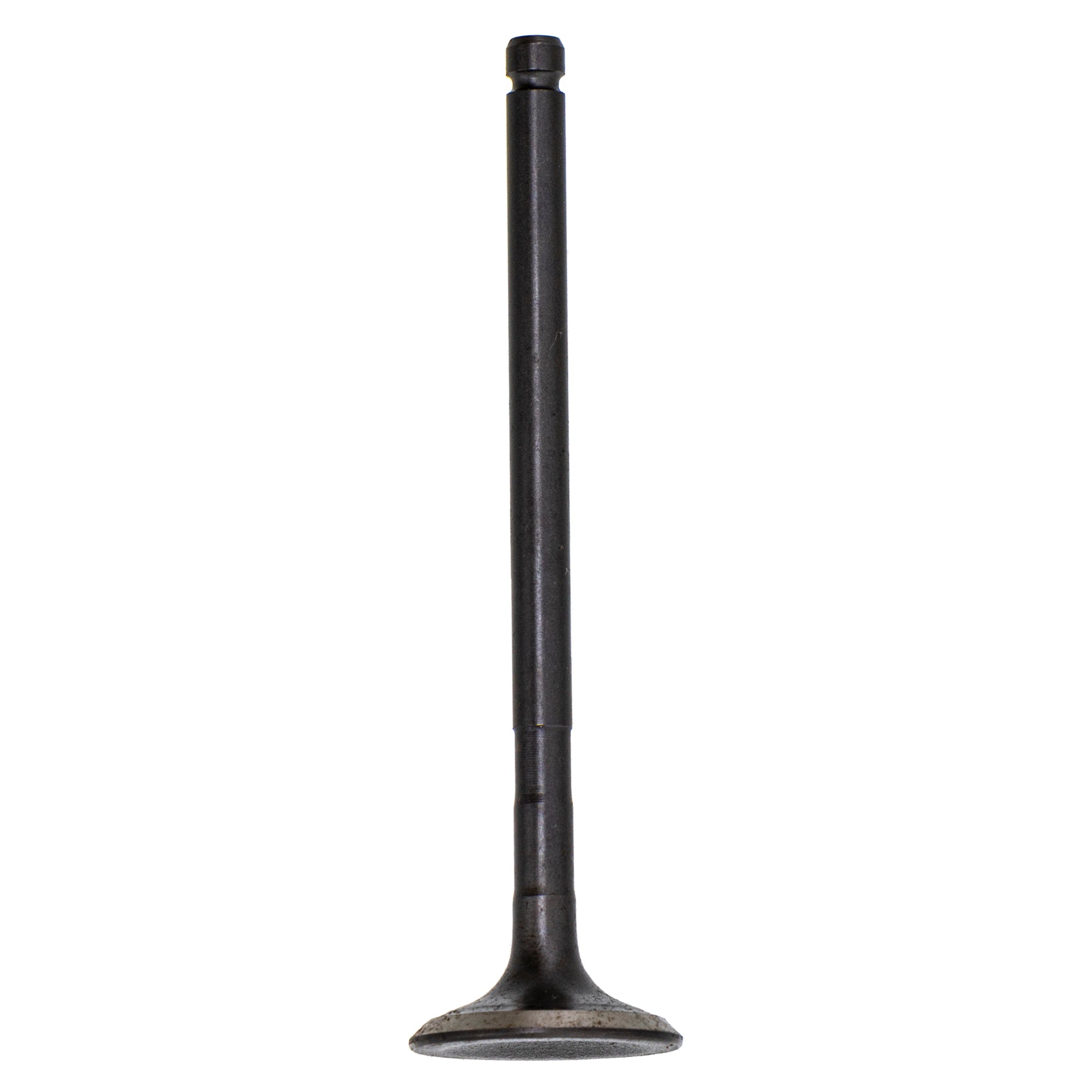 Cylinder Intake Valve for Polaris Xplorer Xpedition Worker Sportsman 3085349 NICHE 519-CVL2235V