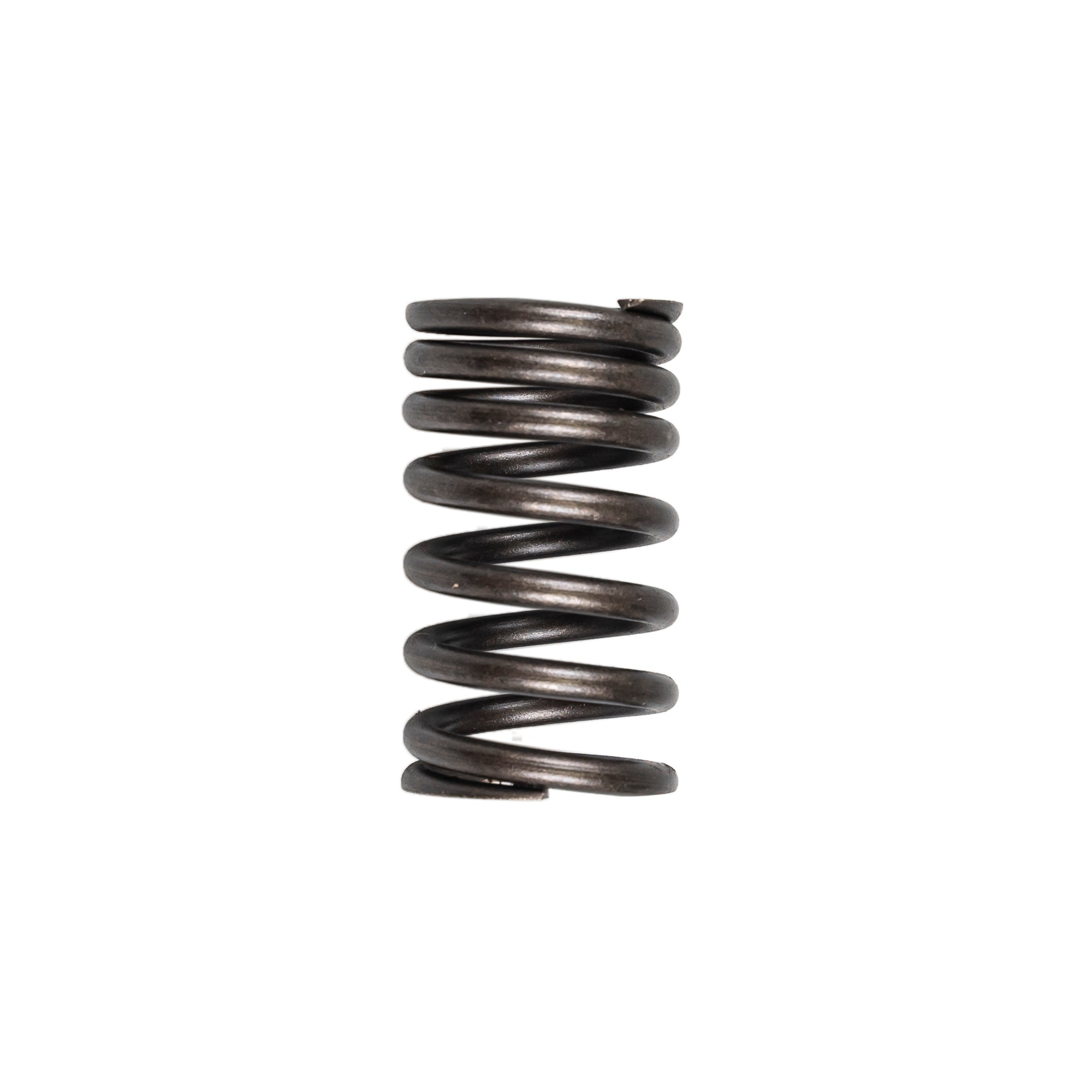 Inner Valve Spring for Yamaha Wolverine Virago Rhino Kodiak 22U-12113-00-00 NICHE 519-CVS2223P