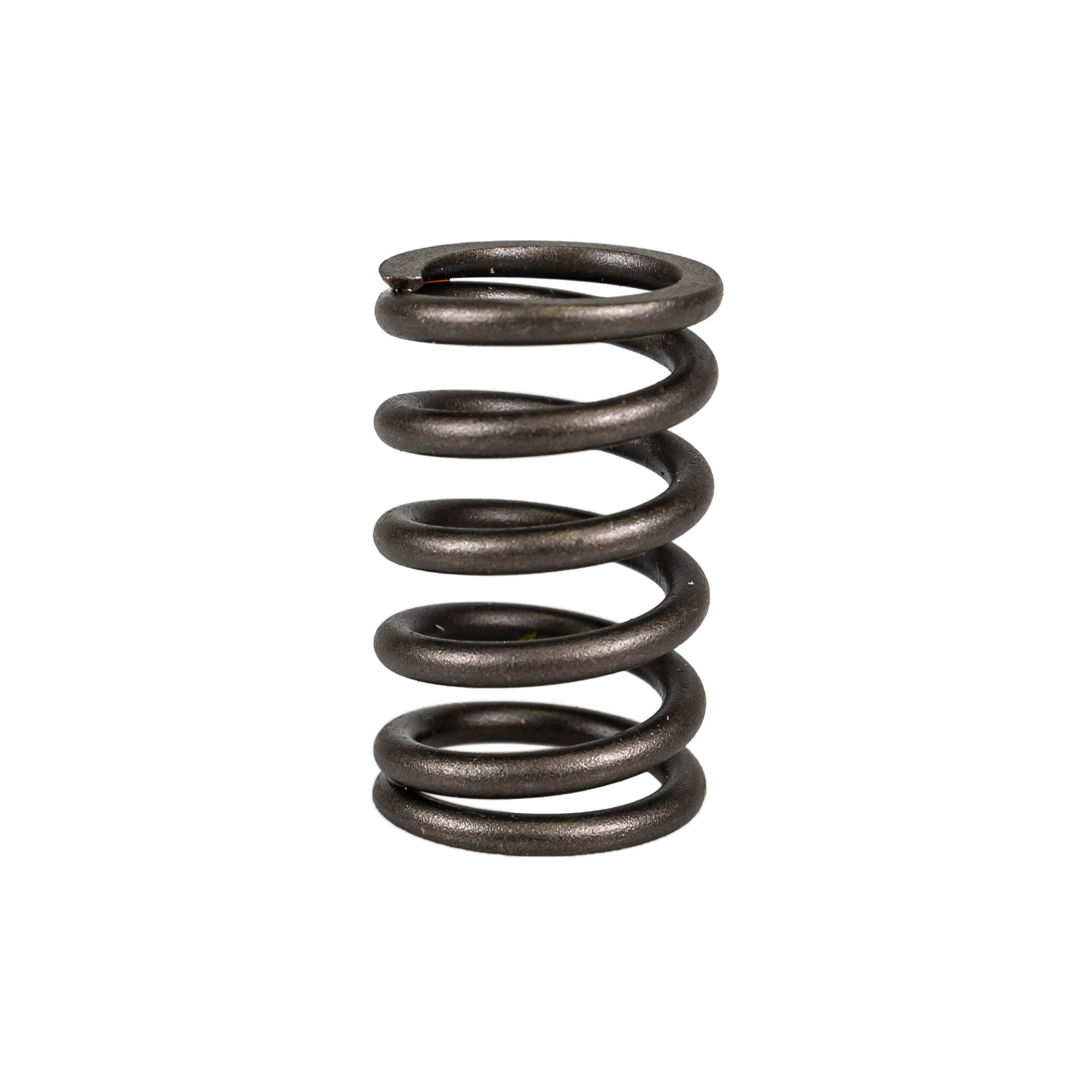 Cylinder Valve Spring for BRP Can-Am Ski-Doo Sea-Doo Traxter Skandic Renegade Outlander NICHE 519-CVS2229P