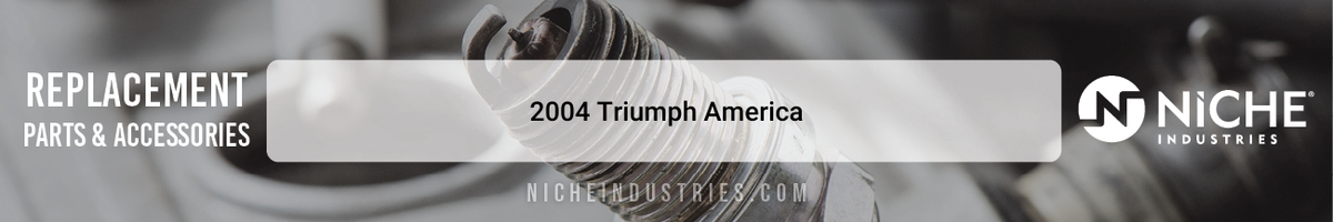 2004 Triumph America