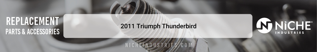 2011 Triumph Thunderbird