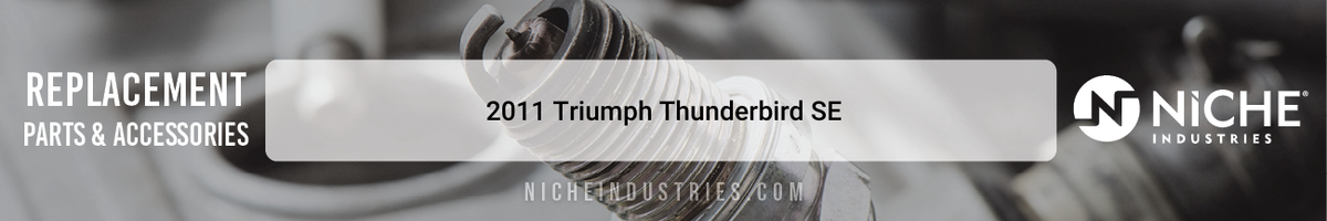 2011 Triumph Thunderbird SE