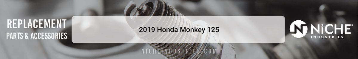 2019 Honda Monkey 125
