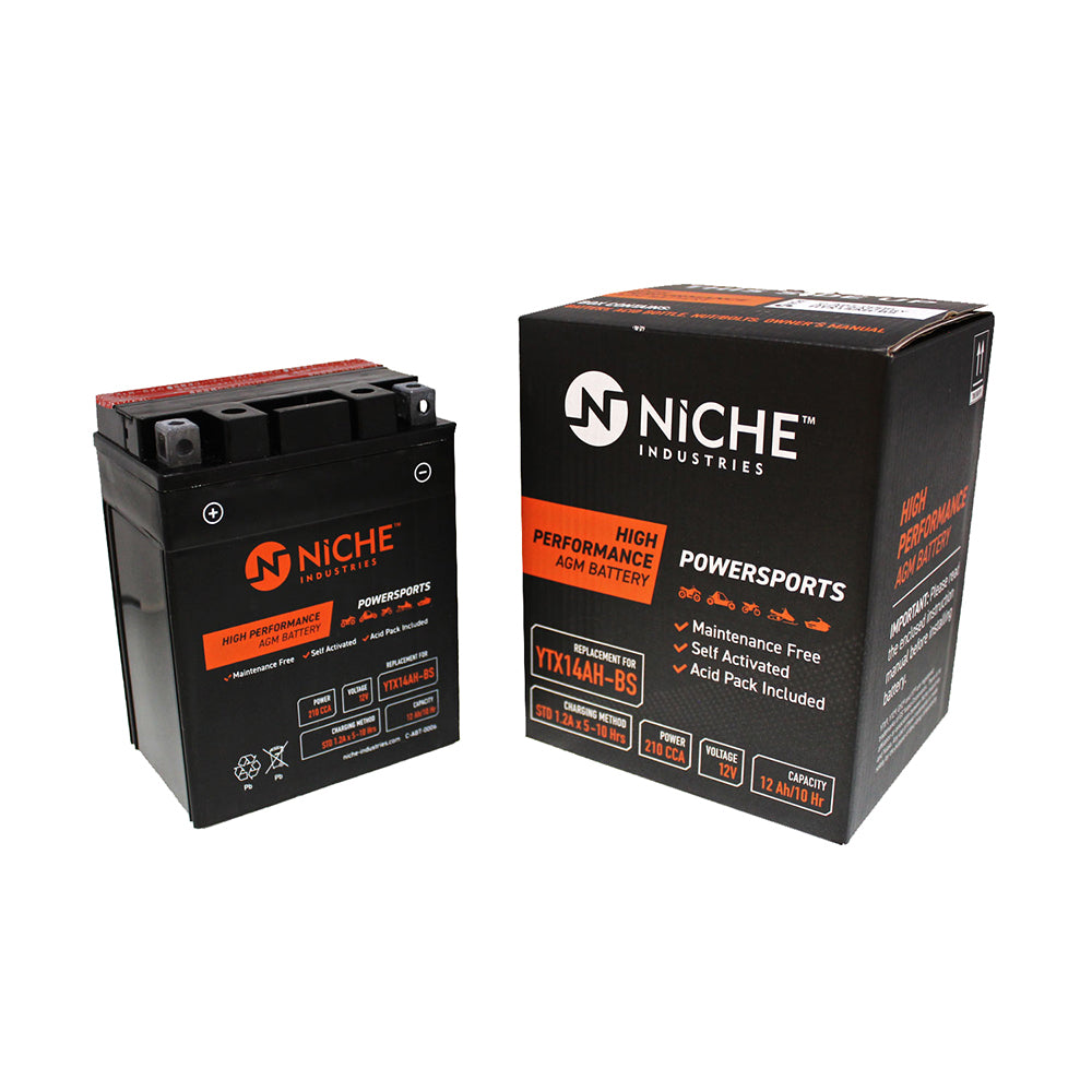 NICHE Maintenance Free Battery