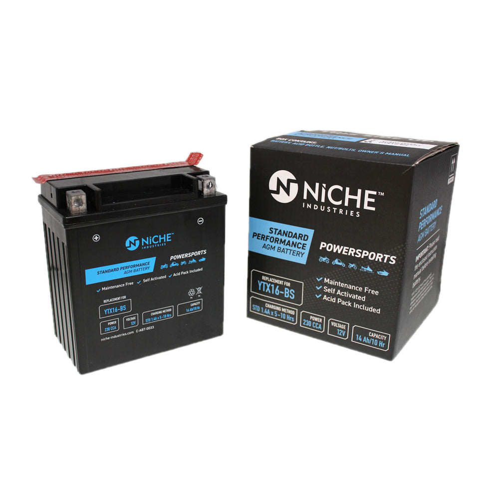 NICHE Maintenance Free Battery