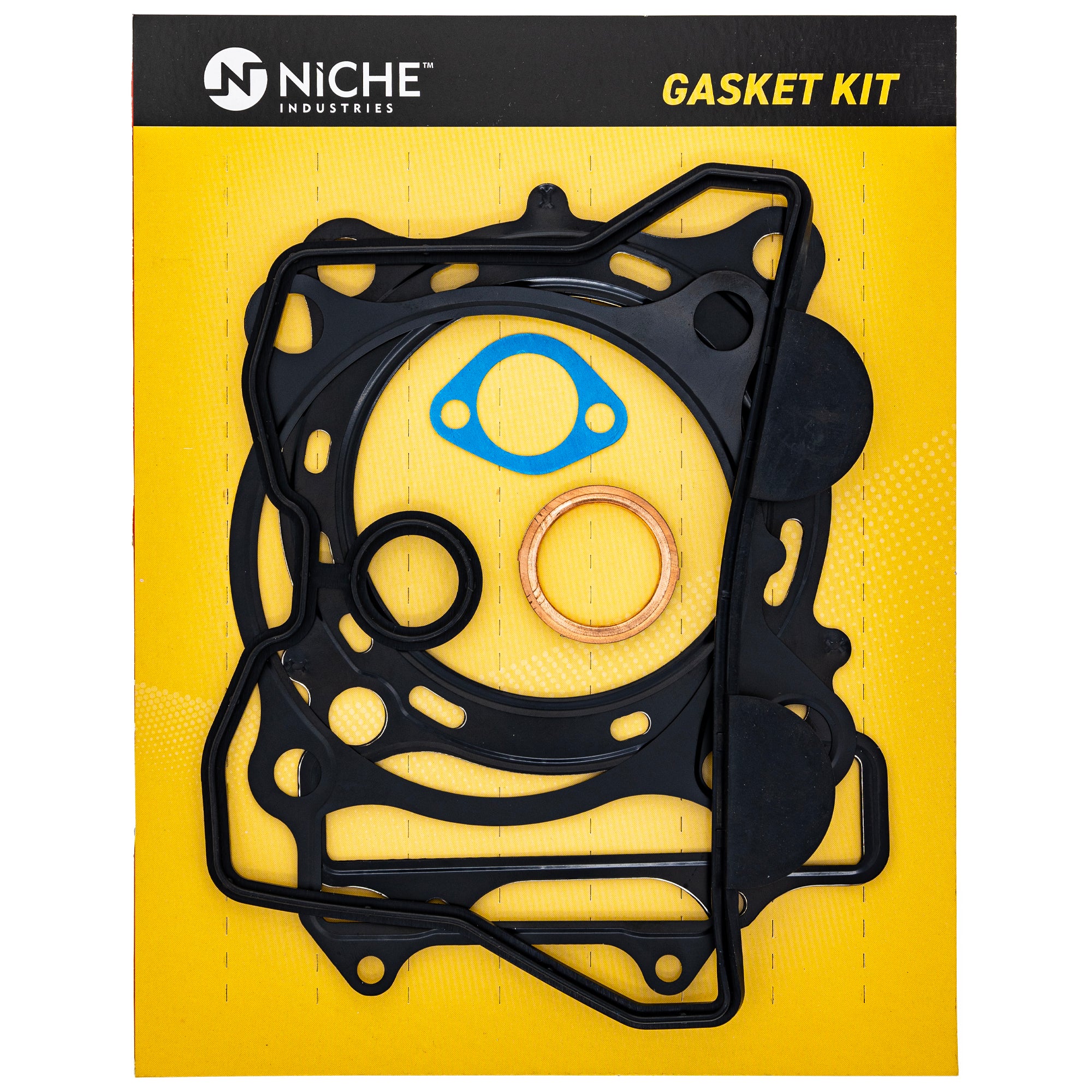 Cylinder and Gasket Kit For Polaris