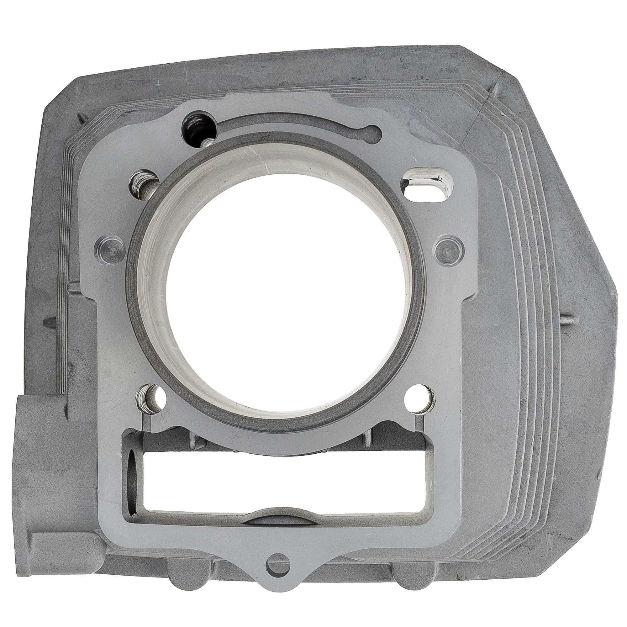 NICHE Cylinder and Gasket Kit