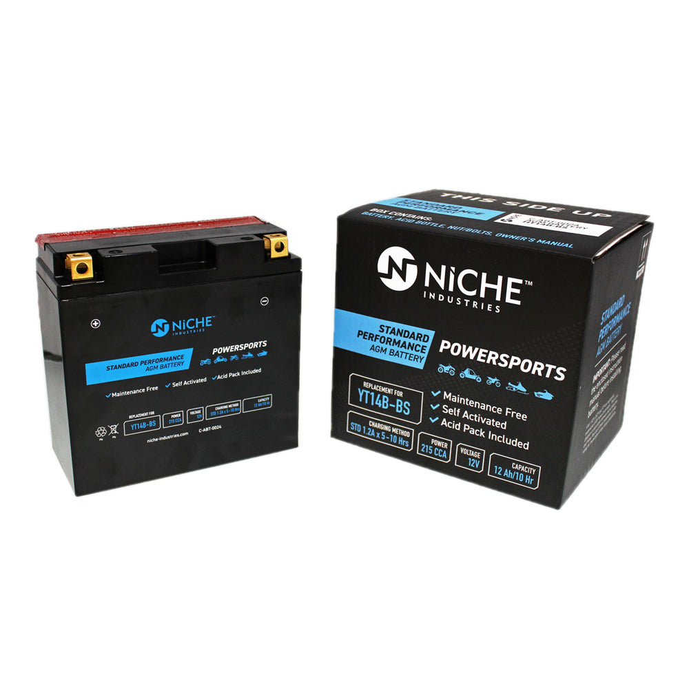 NICHE 519-CAB2246T Maintenance Free Battery
