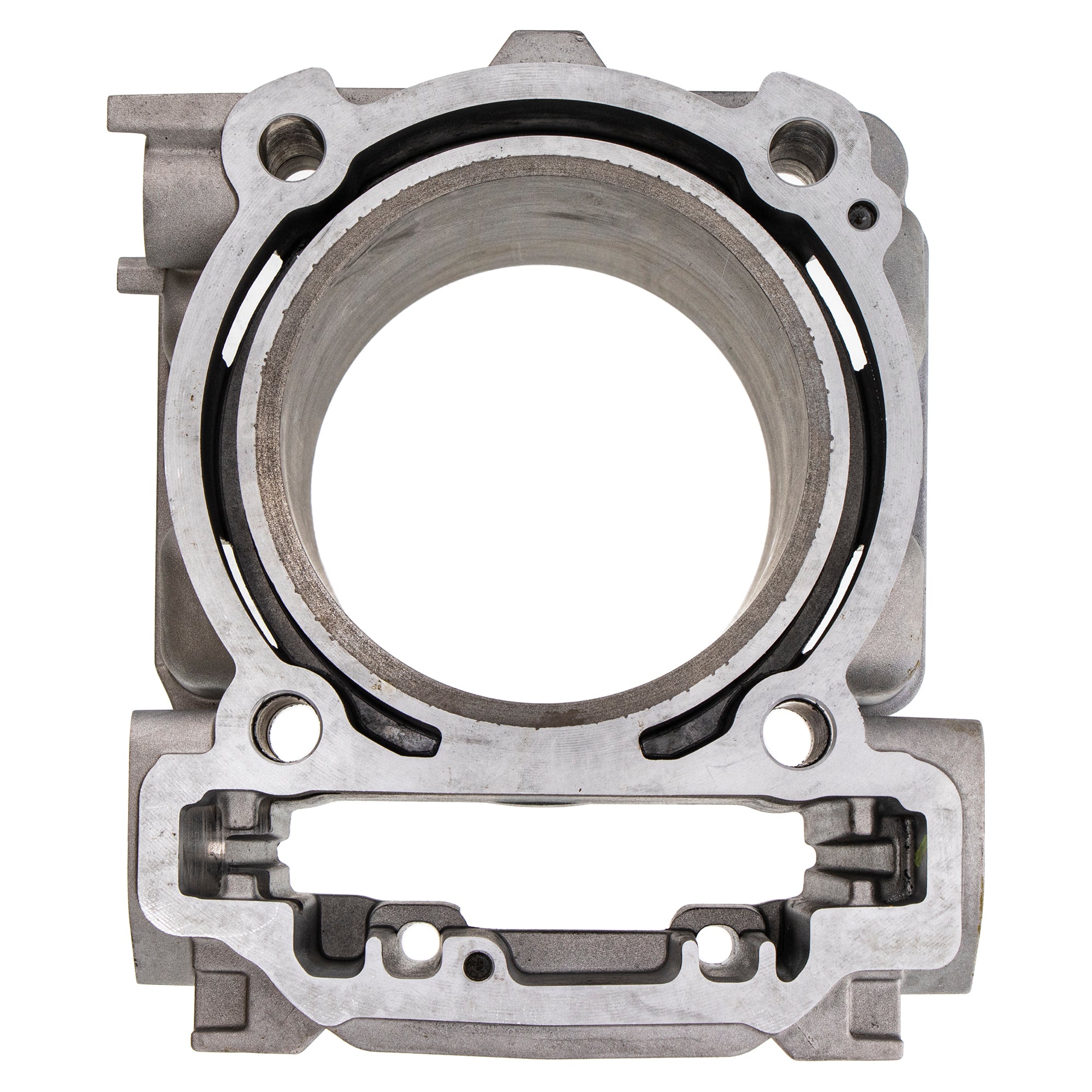 キャベンディッシュ bz-160604024_2.jpg