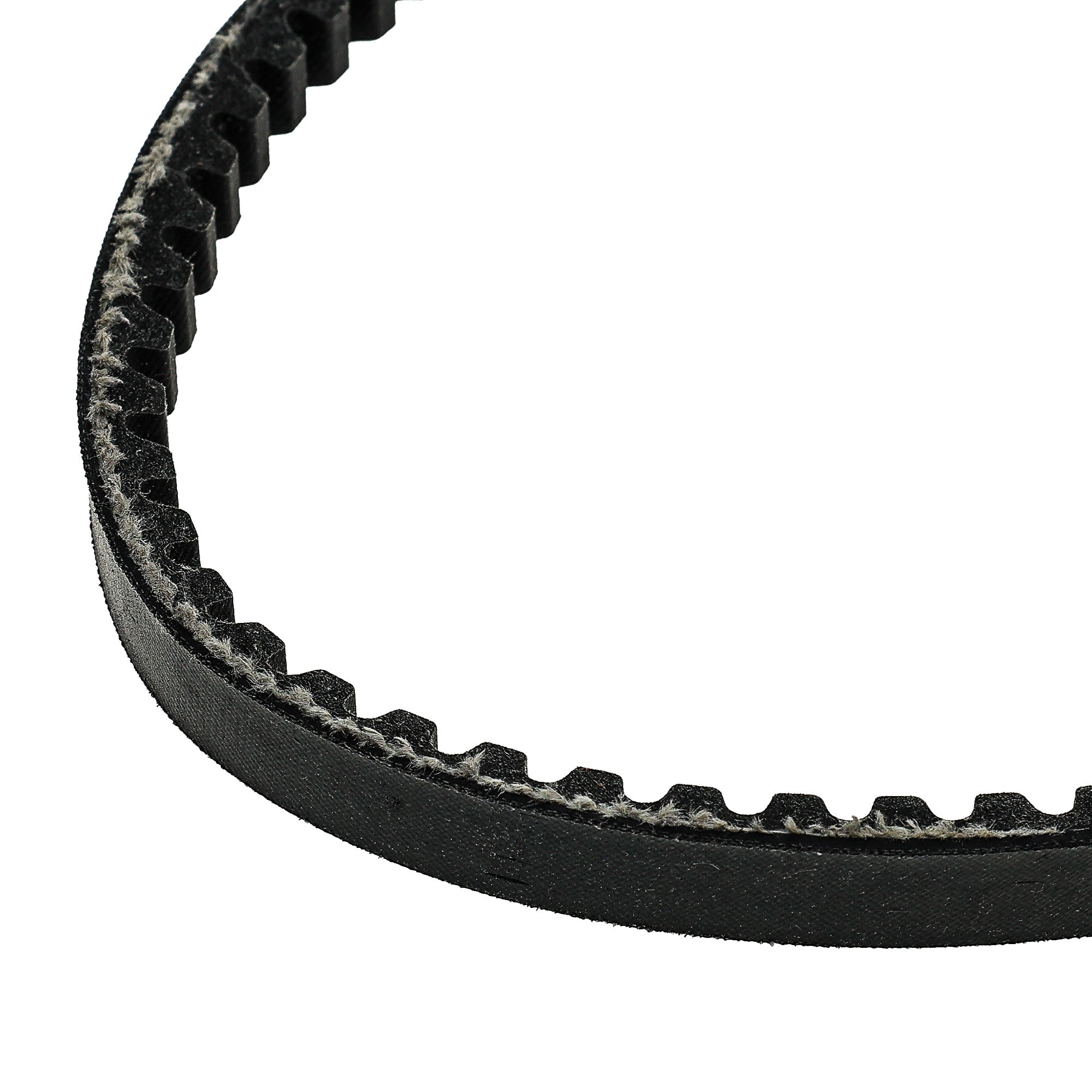 NICHE 519-CDB2261T Drive Belt