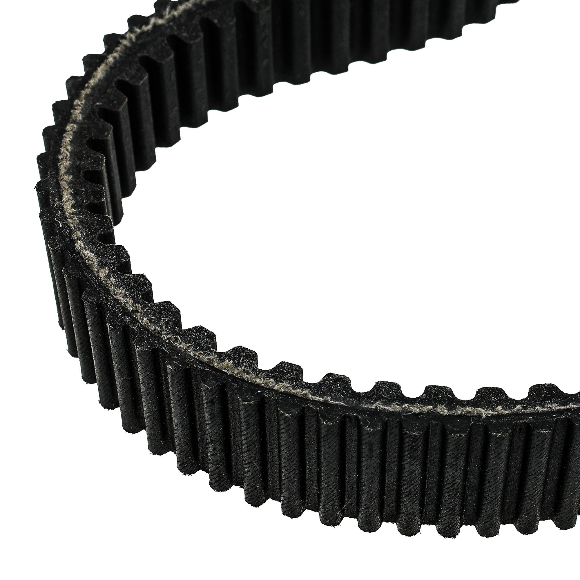 NICHE 519-CDB2275T Drive Belt