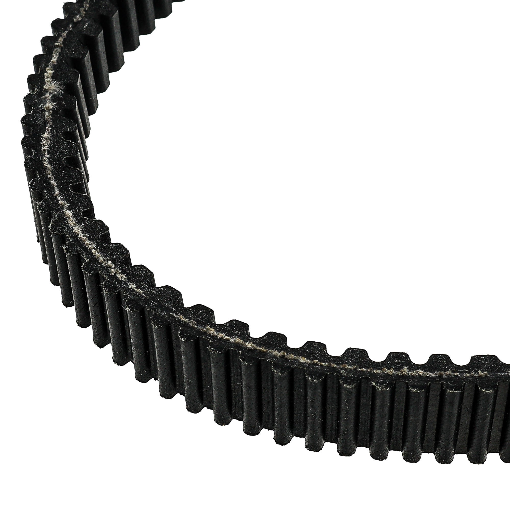 NICHE 519-CDB2279T Drive Belt