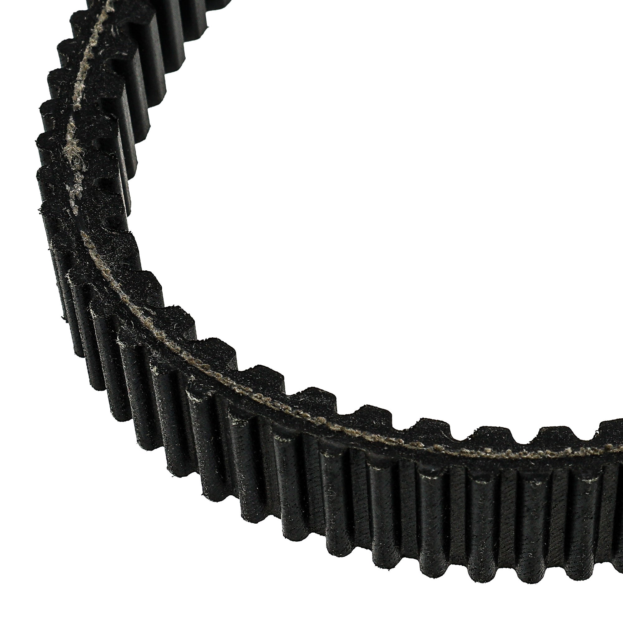 NICHE 519-CDB2282T Drive Belt