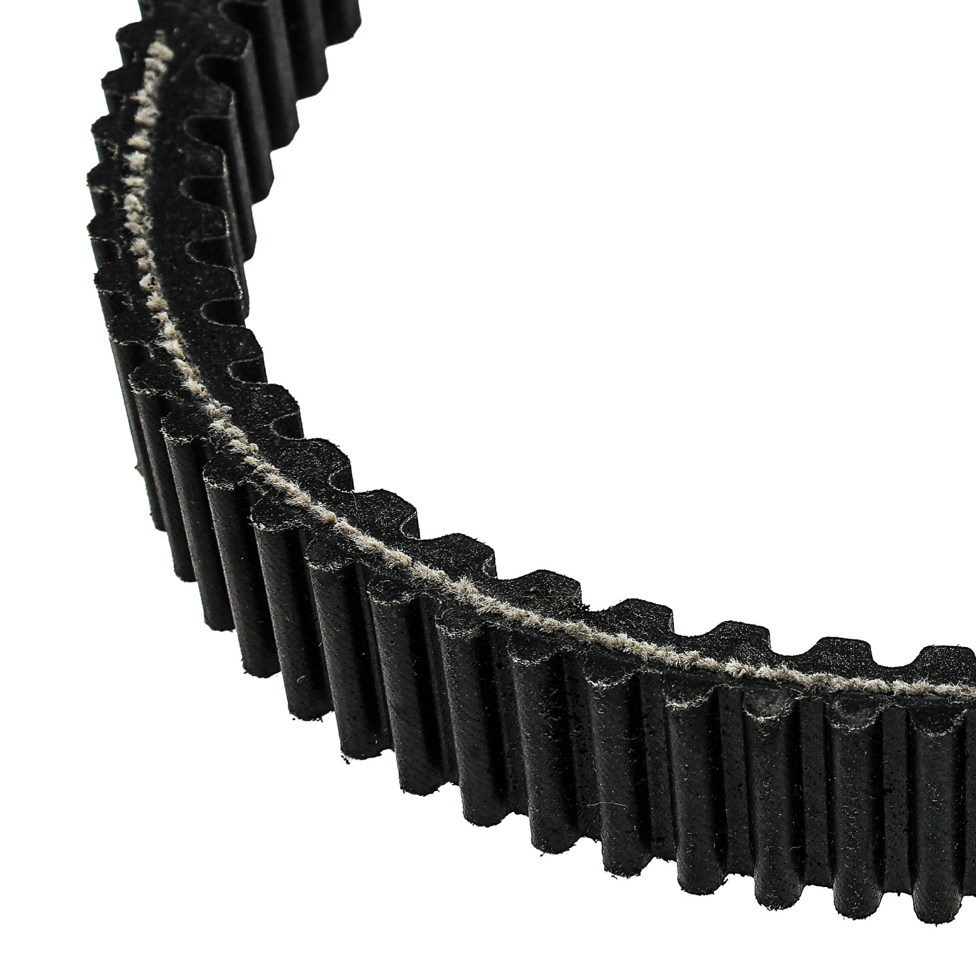 NICHE 519-CDB2283T Drive Belt