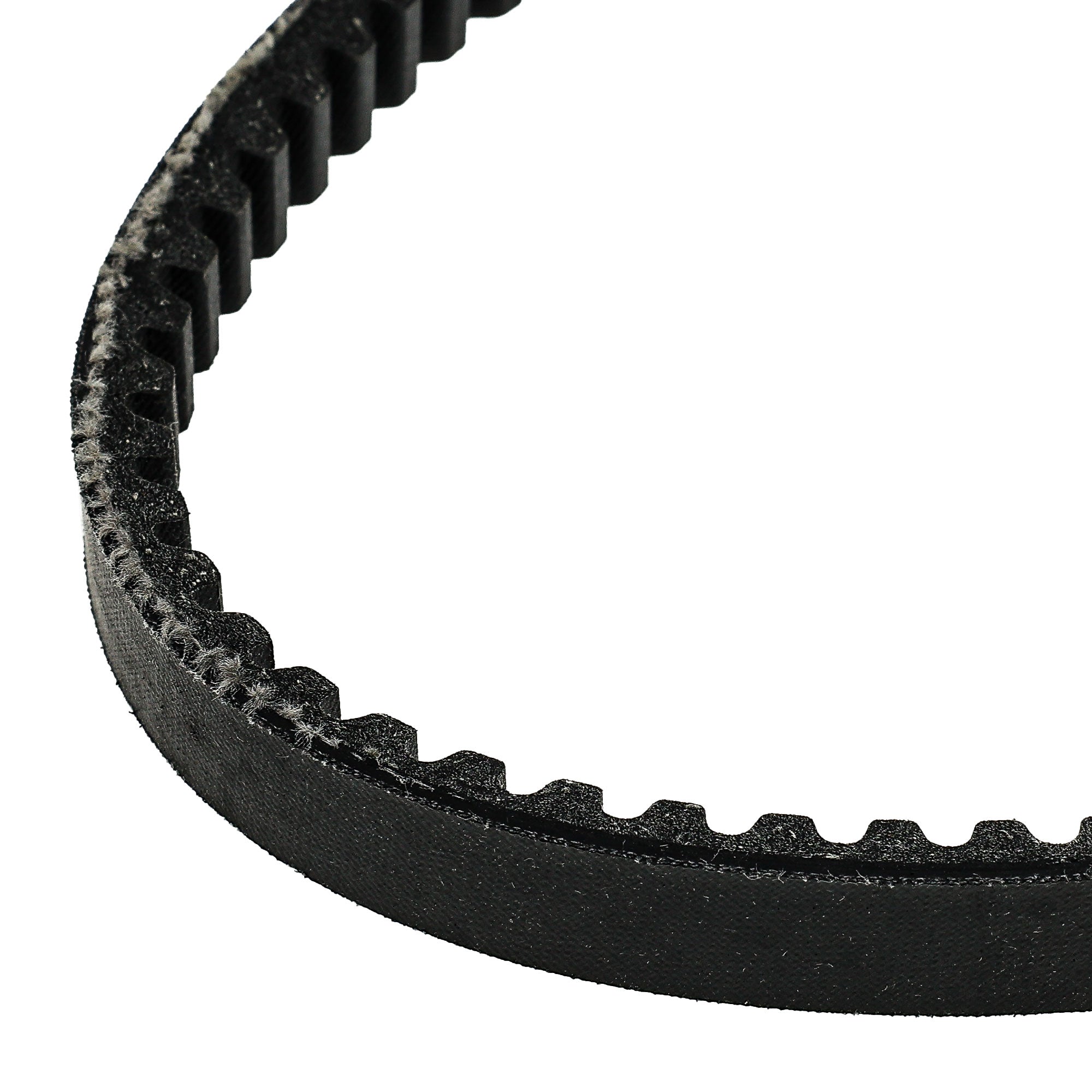 NICHE 519-CDB2288T Drive Belt