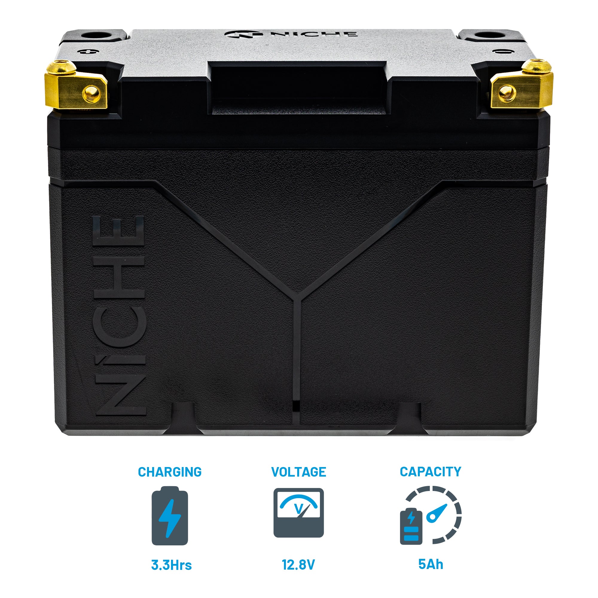 NICHE 519-CLB2229T Lithium Battery for Yamahauler TRX200 Tri Terrapro