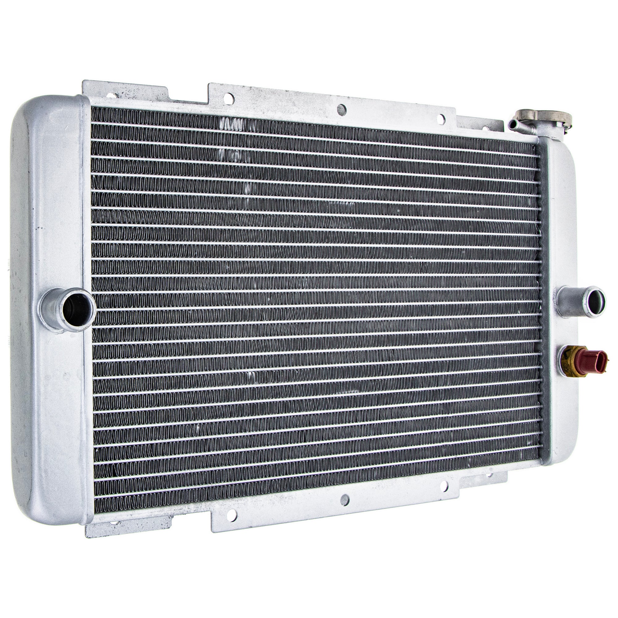 Radiator Assembly Yamaha | NICHE PARTS