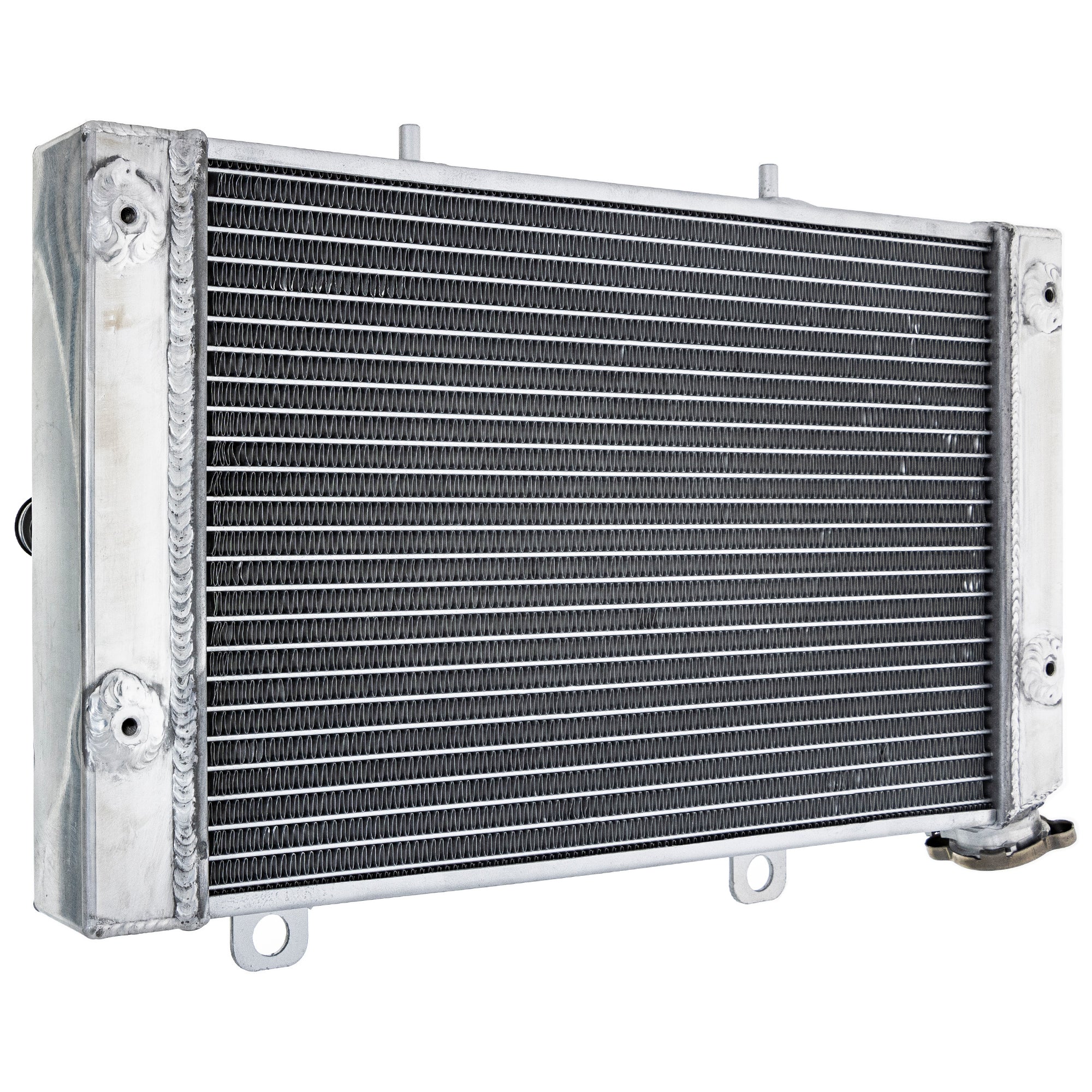 Rio Legioss RIOBOT 1/48 AFC-01H Sentinel MOSPEADA Eta Action Figure