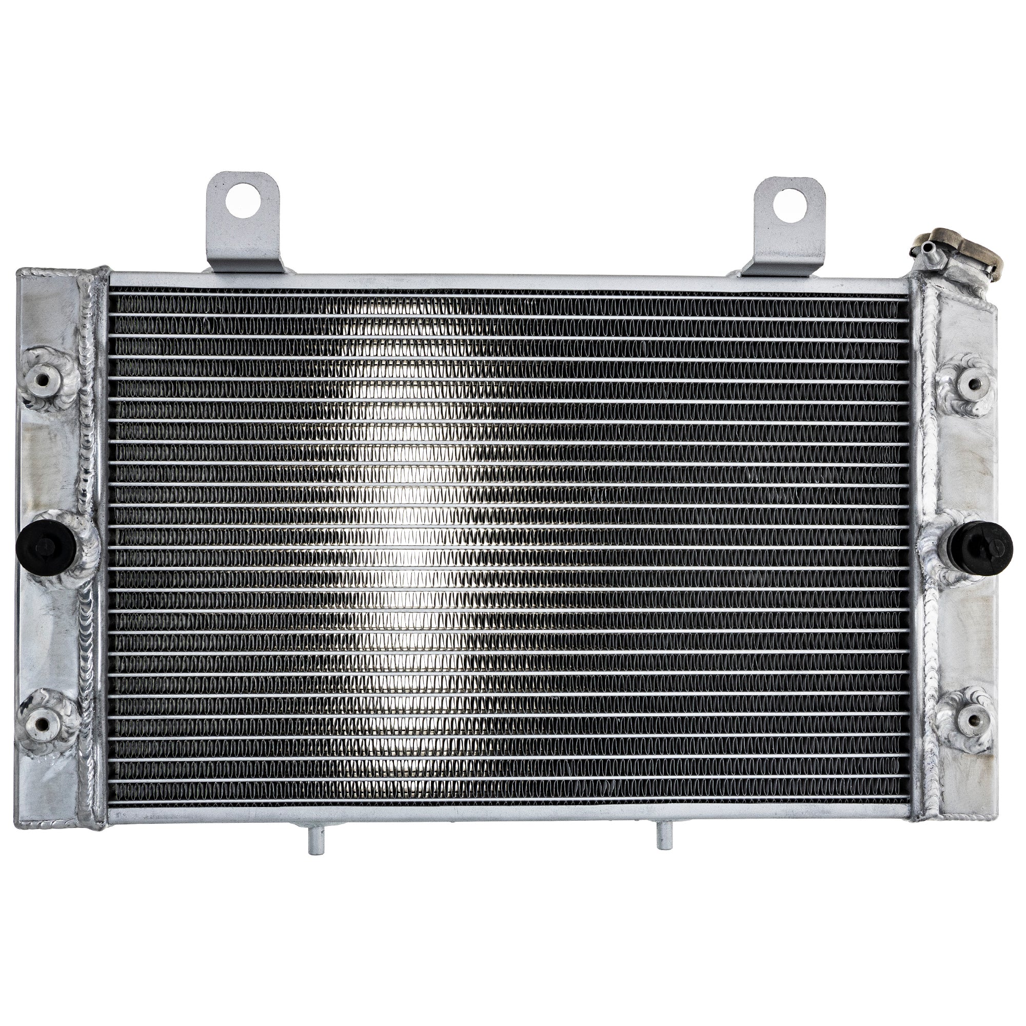 ベヨネッタ IMG_6368.jpg?v=1674847923