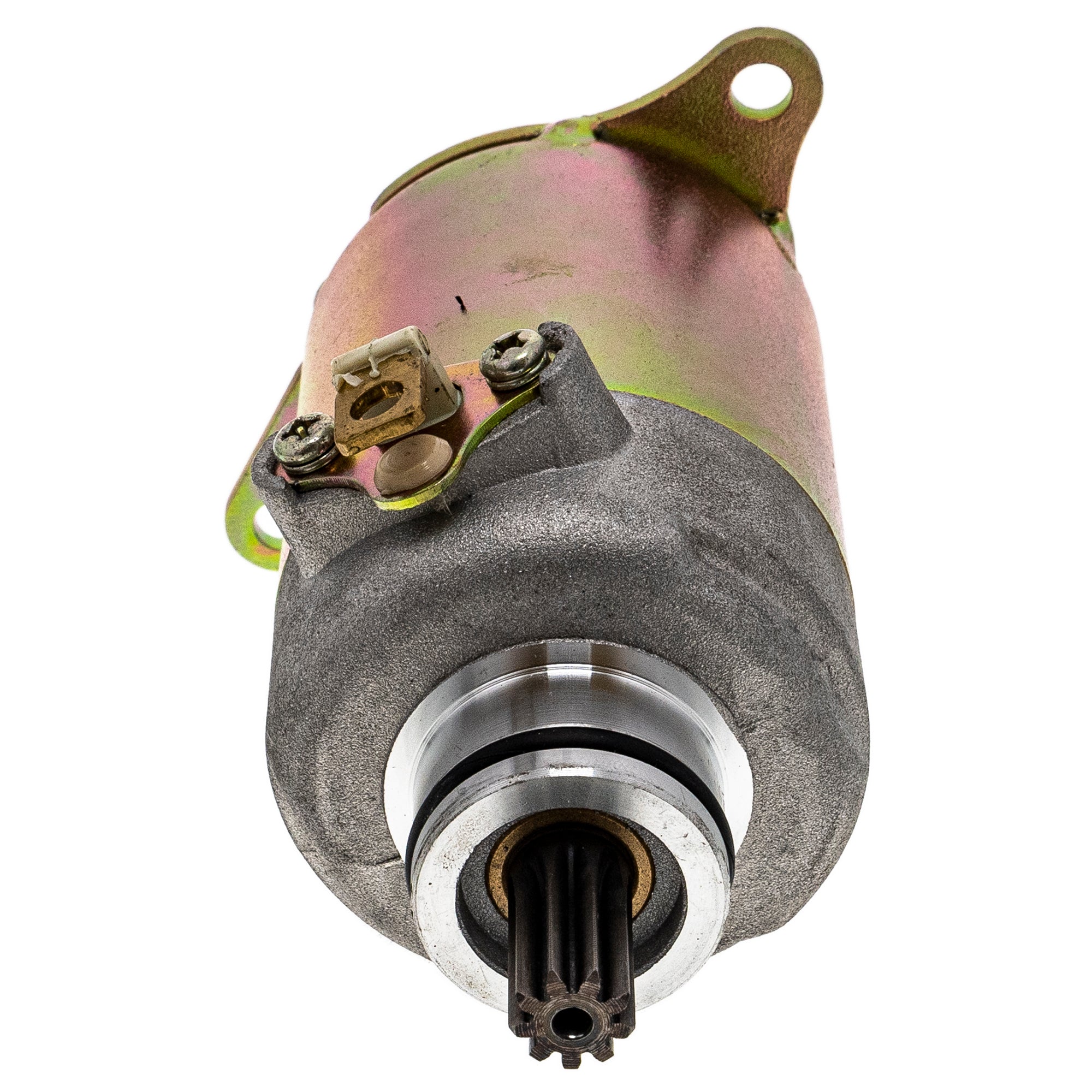 NICHE Starter Motor Assembly