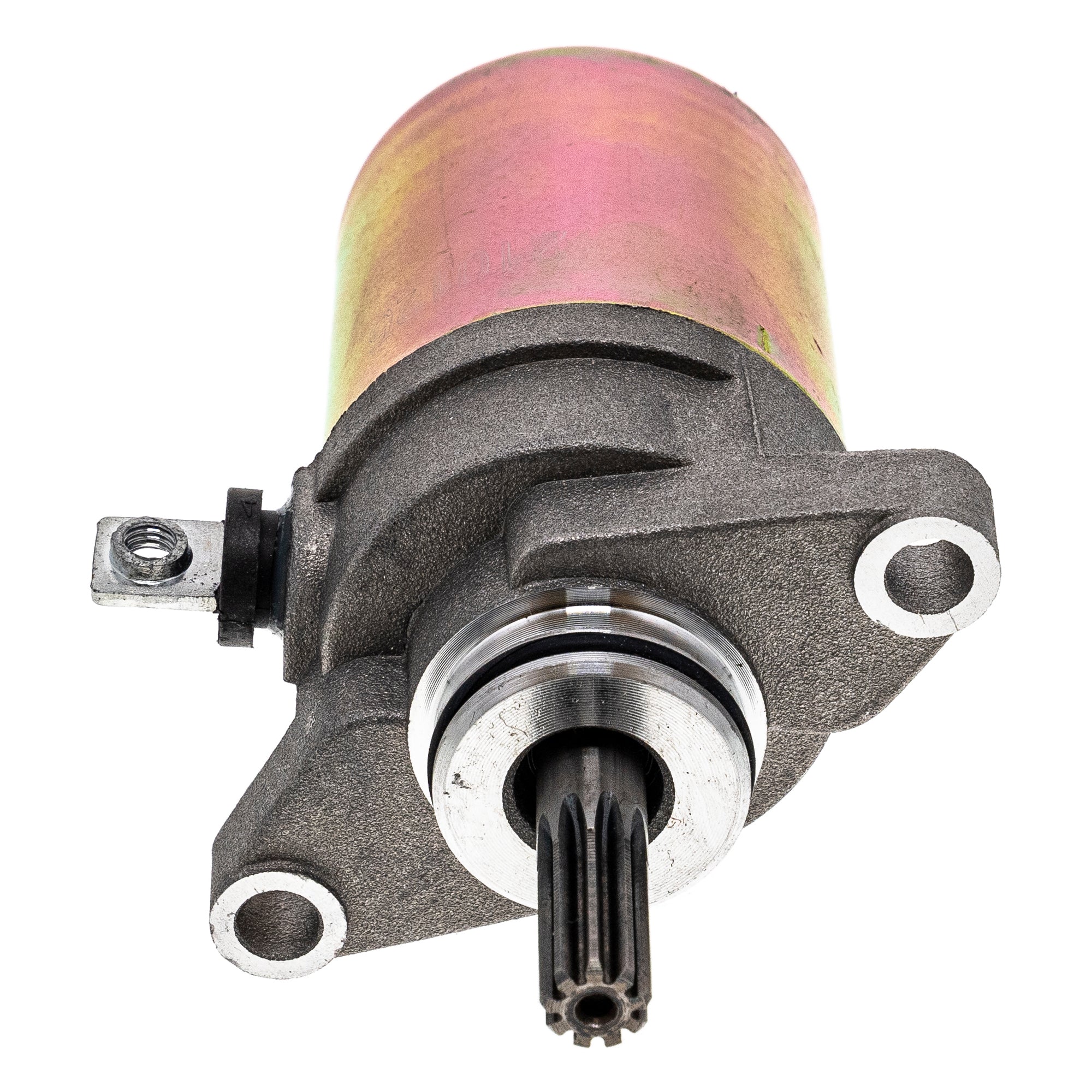 NICHE Starter Motor Assembly