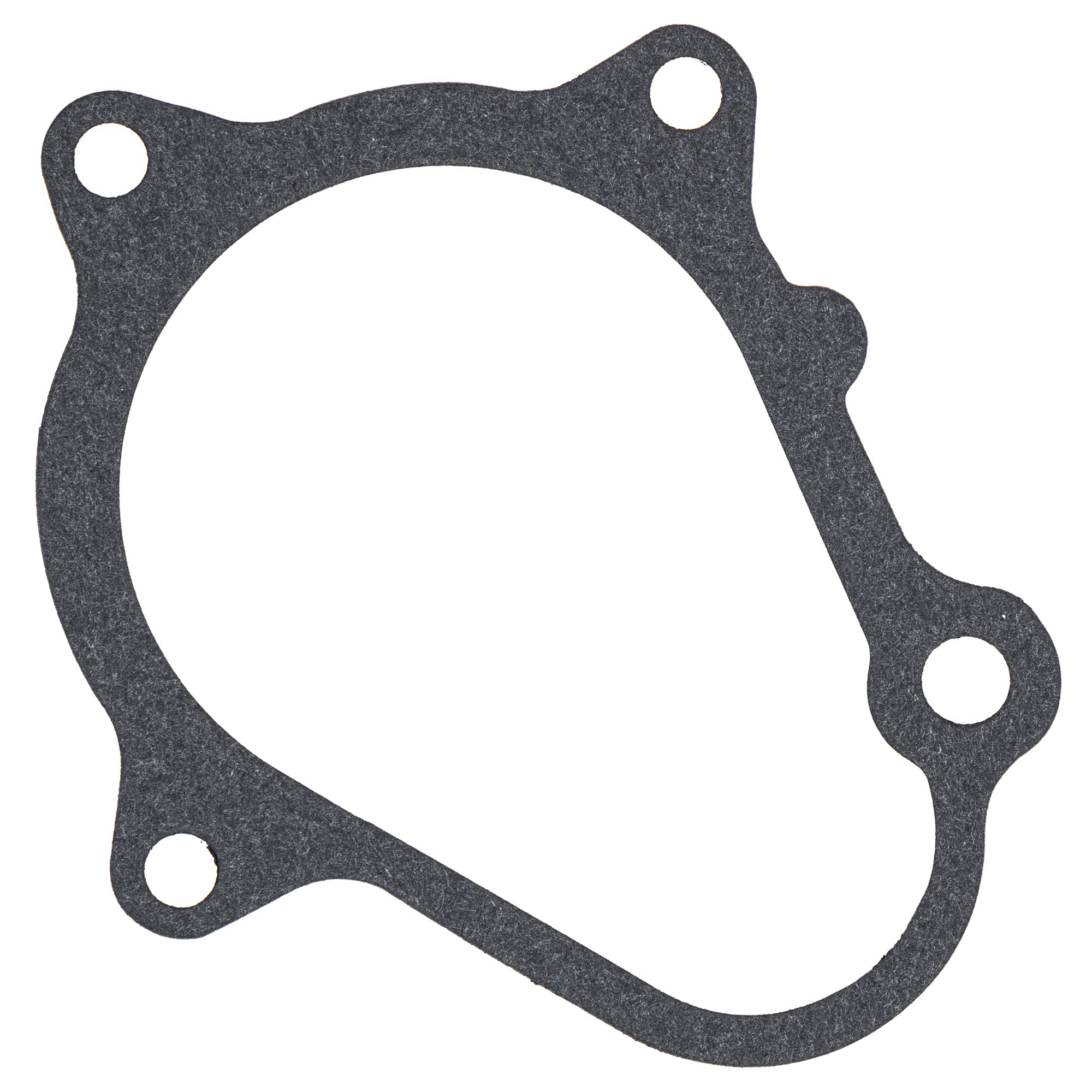 Crankcase Gasket & Starter Clutch Screw Yamaha | NICHE PARTS