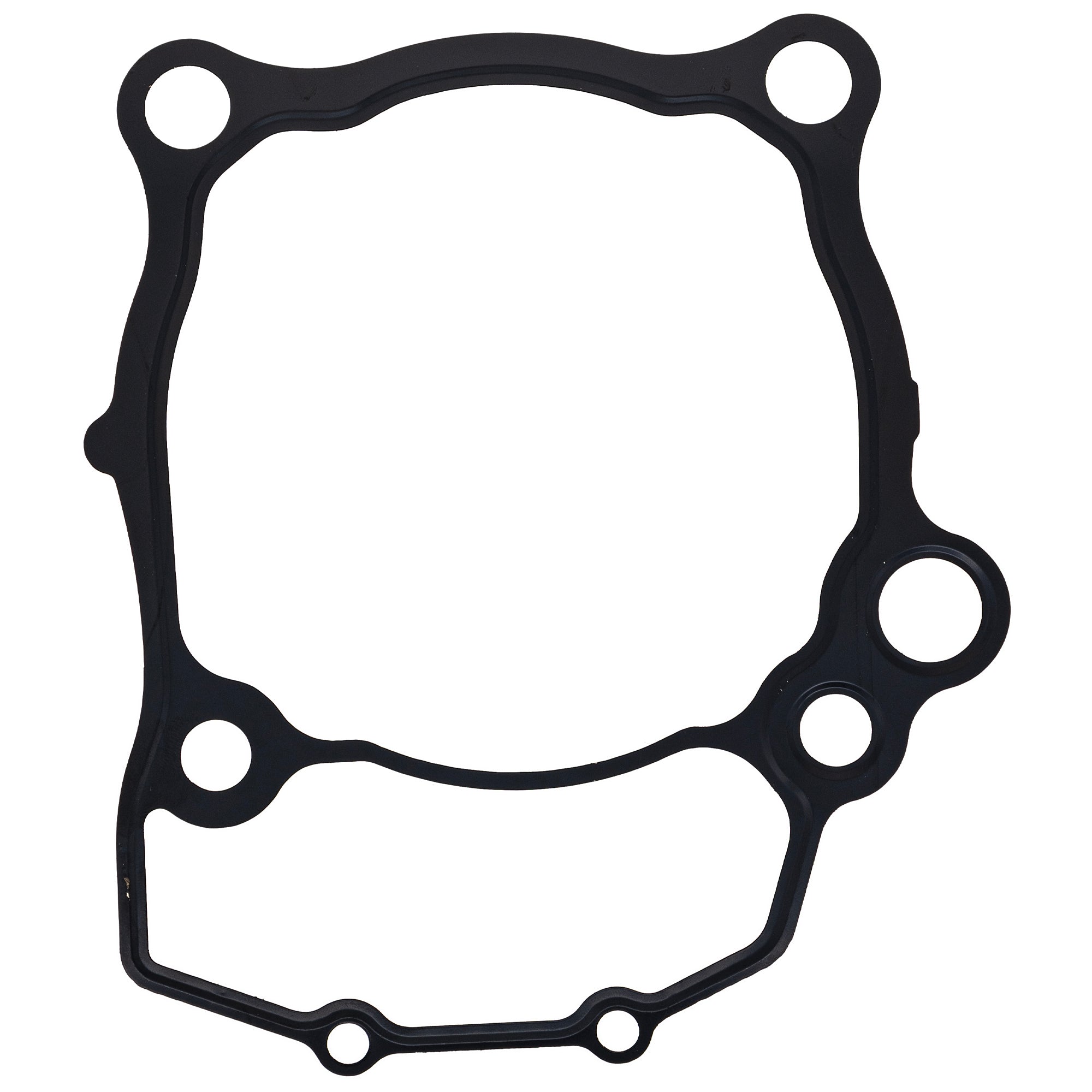 Gasket Kit Polaris | NICHE PARTS