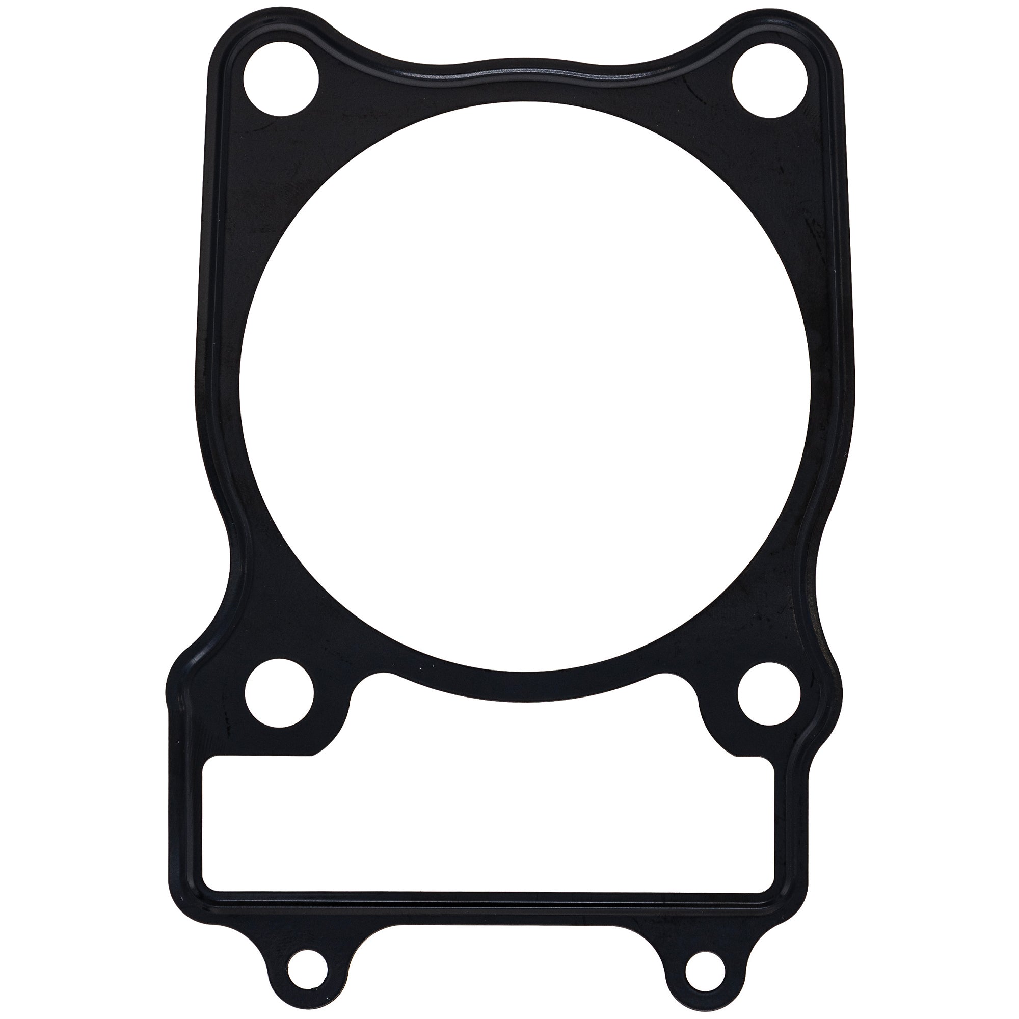 Gasket Kit Arctic Cat | NICHE PARTS
