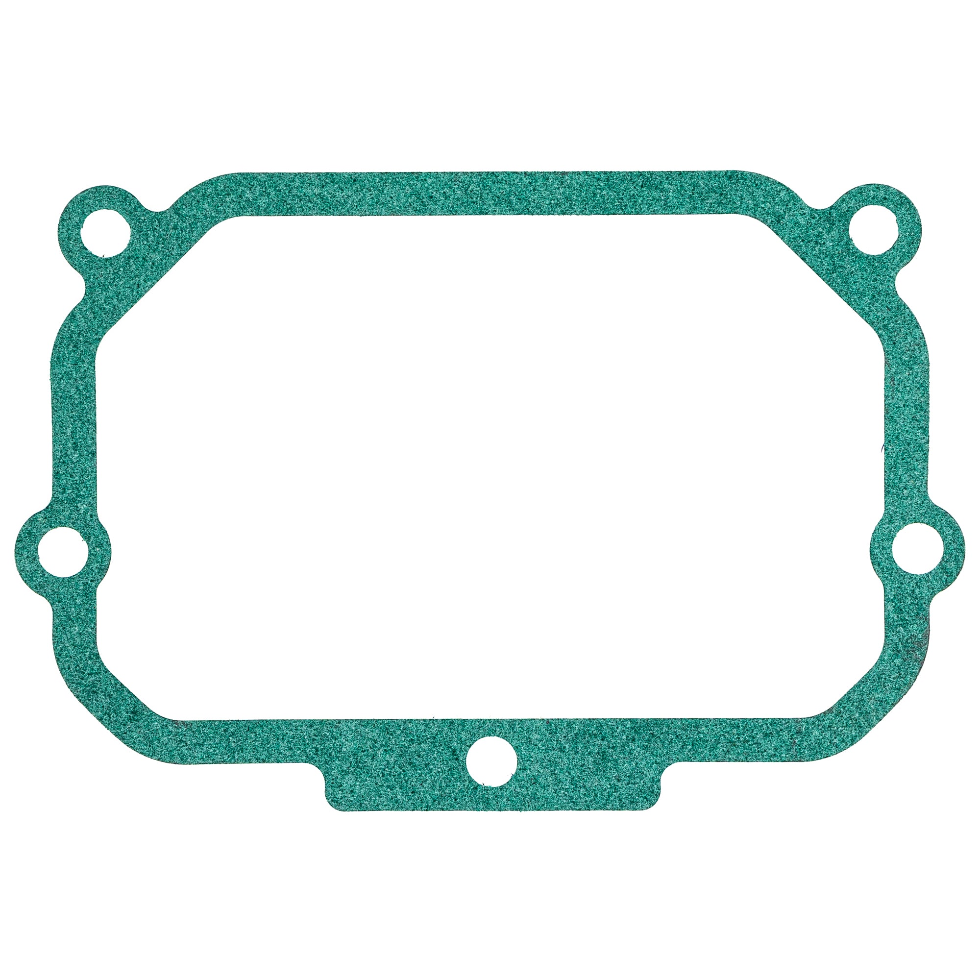 キハダSAR Charizard ex SAR 349/190 SV4a Shiny Treasure Pokemon Card 2023