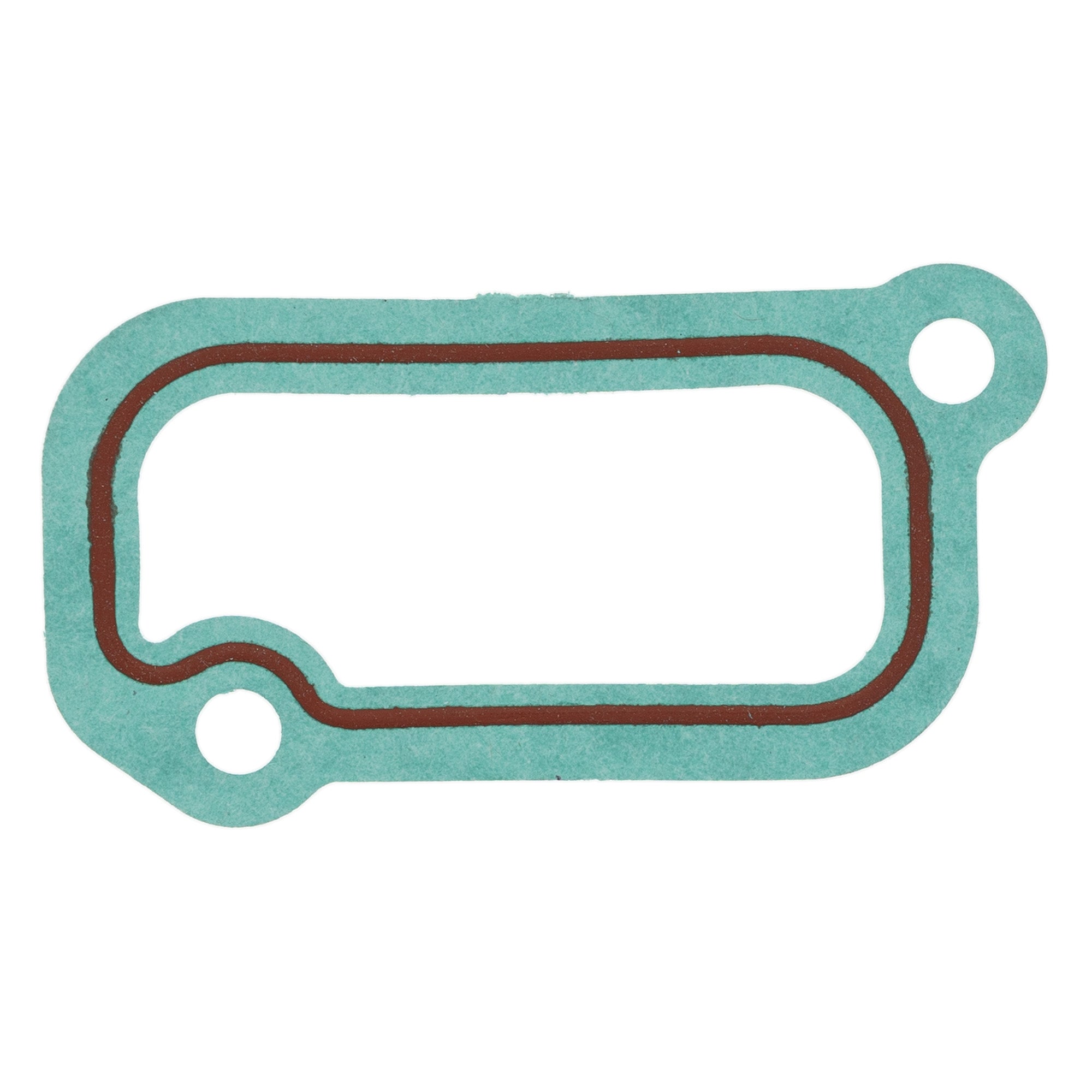 Gasket Kit For Polaris 5813980 5813742 5813439 5253037