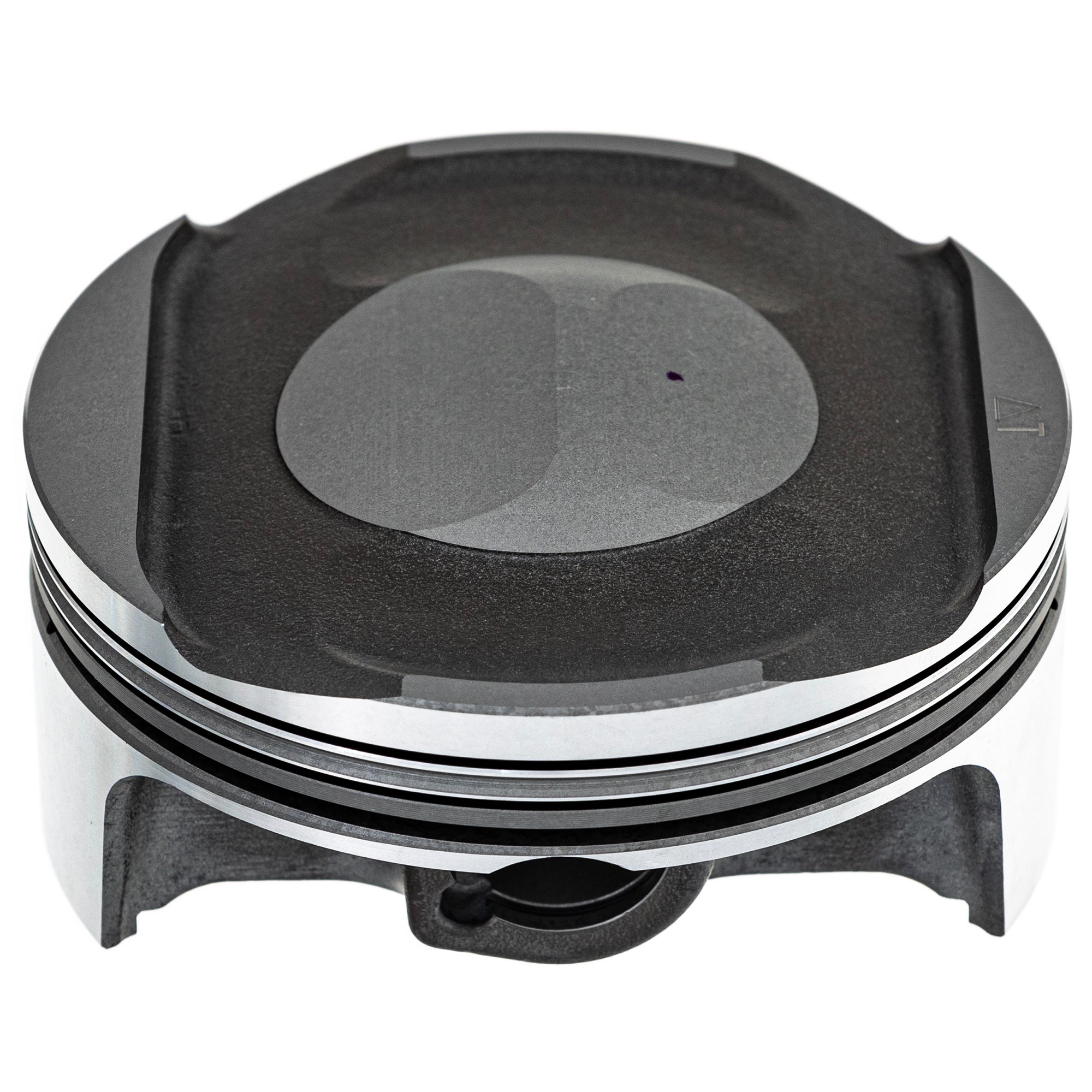 NICHE Piston Kit 2204637 2204508